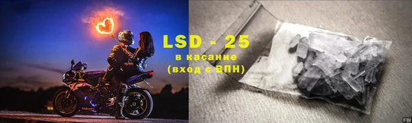 стафф Елизово