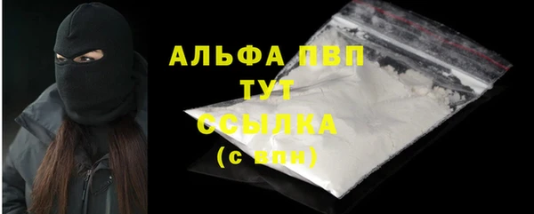 стафф Елизово