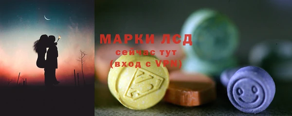 стафф Елизово