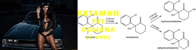 скорость Елабуга