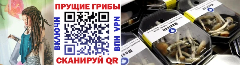 купить наркоту Спас-Деменск Псилоцибиновые грибы мухоморы